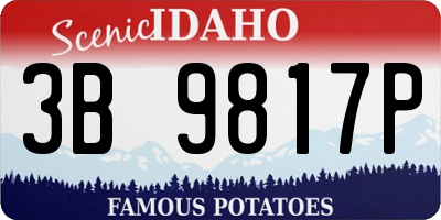 ID license plate 3B9817P