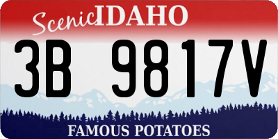ID license plate 3B9817V