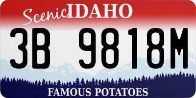 ID license plate 3B9818M