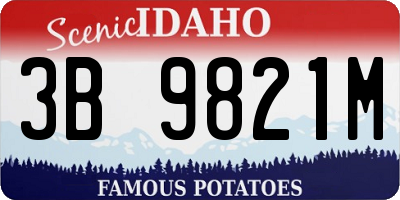 ID license plate 3B9821M
