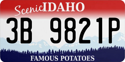 ID license plate 3B9821P
