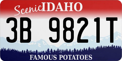 ID license plate 3B9821T