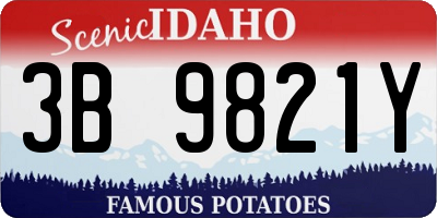 ID license plate 3B9821Y