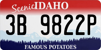 ID license plate 3B9822P