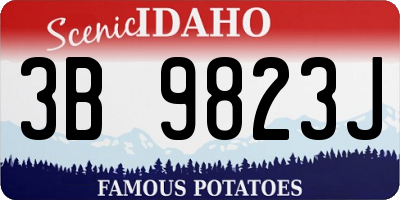 ID license plate 3B9823J