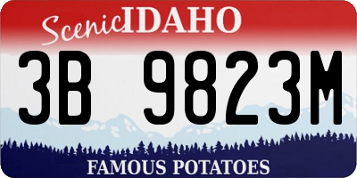 ID license plate 3B9823M