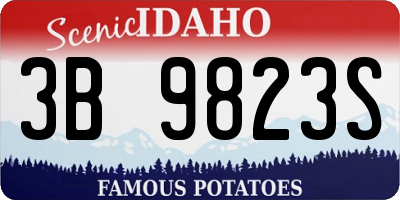 ID license plate 3B9823S