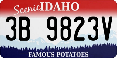 ID license plate 3B9823V