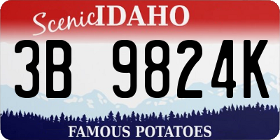 ID license plate 3B9824K