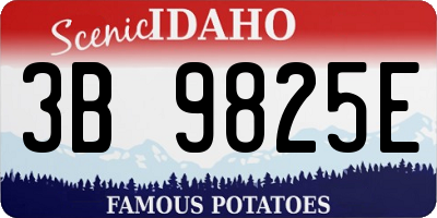 ID license plate 3B9825E