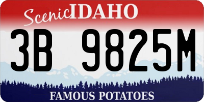 ID license plate 3B9825M