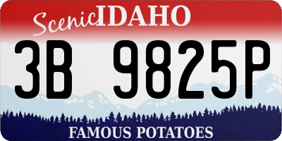 ID license plate 3B9825P