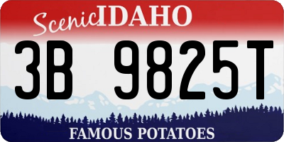 ID license plate 3B9825T