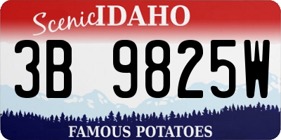 ID license plate 3B9825W