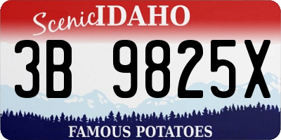 ID license plate 3B9825X