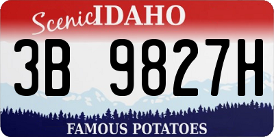 ID license plate 3B9827H