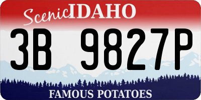 ID license plate 3B9827P