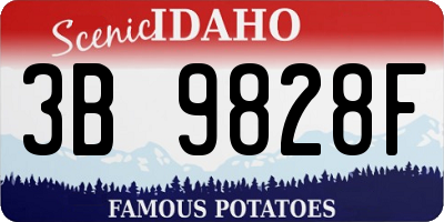 ID license plate 3B9828F