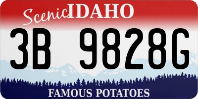 ID license plate 3B9828G
