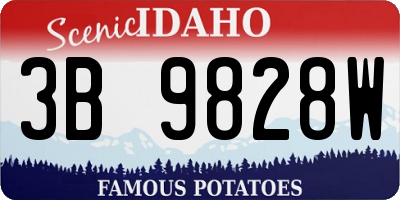 ID license plate 3B9828W
