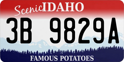 ID license plate 3B9829A