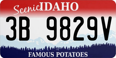 ID license plate 3B9829V