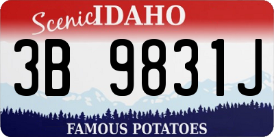 ID license plate 3B9831J