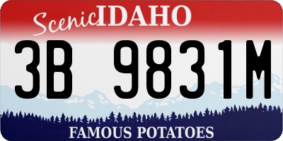 ID license plate 3B9831M