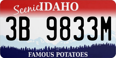 ID license plate 3B9833M