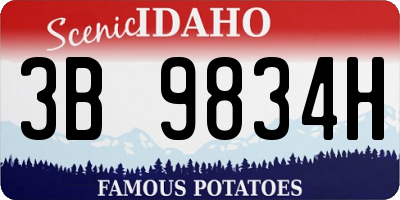 ID license plate 3B9834H