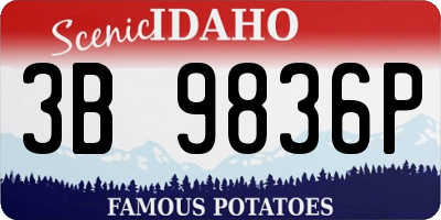 ID license plate 3B9836P