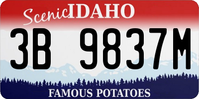ID license plate 3B9837M