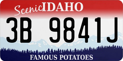ID license plate 3B9841J