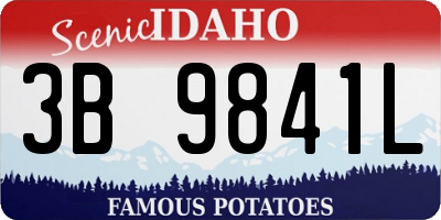 ID license plate 3B9841L