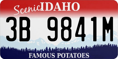 ID license plate 3B9841M
