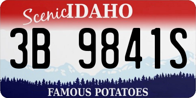 ID license plate 3B9841S