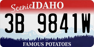 ID license plate 3B9841W