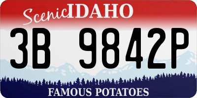 ID license plate 3B9842P