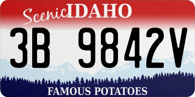 ID license plate 3B9842V