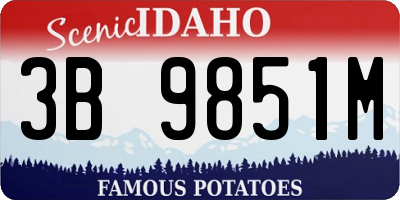 ID license plate 3B9851M