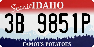 ID license plate 3B9851P