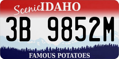 ID license plate 3B9852M