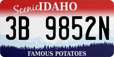 ID license plate 3B9852N