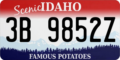 ID license plate 3B9852Z