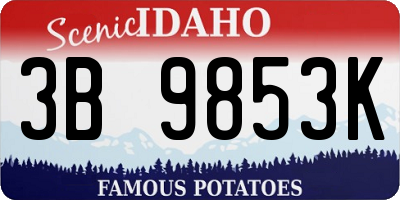 ID license plate 3B9853K