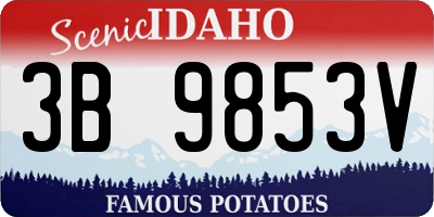 ID license plate 3B9853V