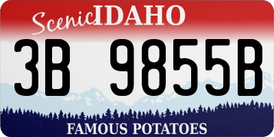 ID license plate 3B9855B