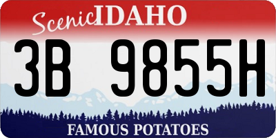 ID license plate 3B9855H