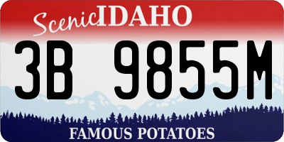 ID license plate 3B9855M