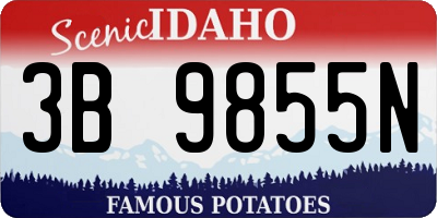 ID license plate 3B9855N